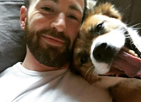 PopUps: Chris Evans Shares Adorable Dog Pic...Which Also Features His Chest Tattoo