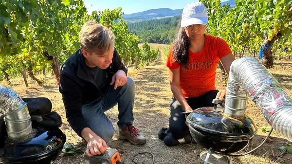 Wildfires Can Make your California Red Taste Like an Ashtray. These Scientists Want to Stop That 