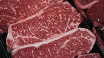 New Diet Guidelines Say to Double Up On Protein, But Nutrition Experts Are Wary